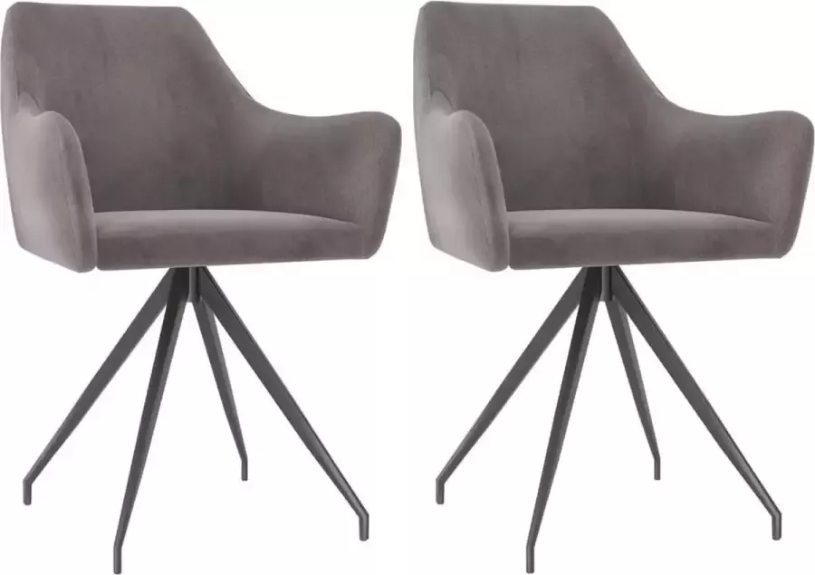 DroomMeubels Eetkamerstoelen 2 stuks lichtgrijs fluweel