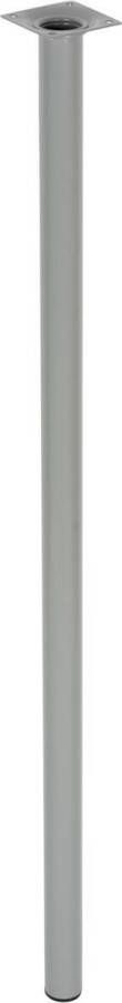 Duraline Meubelpoot Rond Grijs Staal Ø3x80cm 4pp