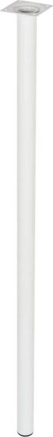 Duraline Meubelpoot Rond Wit Staal Ø3x80cm 4pp