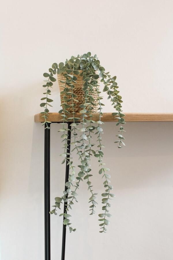 Dutch Design Luxe Eikenhouten Side Table Handgemaakt – Haarspeldpoten Duurzaam en Tijdloos