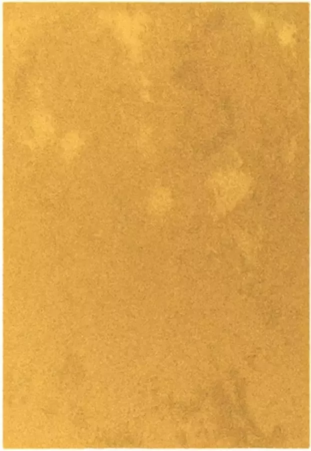 Dutch Lifestyle Vloerkleed New York 150x80 cm goudkleurig