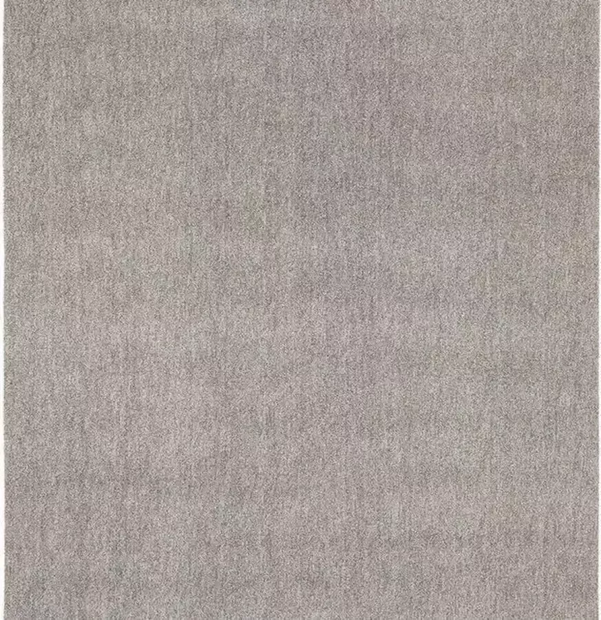 Dutch Lifestyle New York Polyester Vloerkleed 80x150 cm Grijs