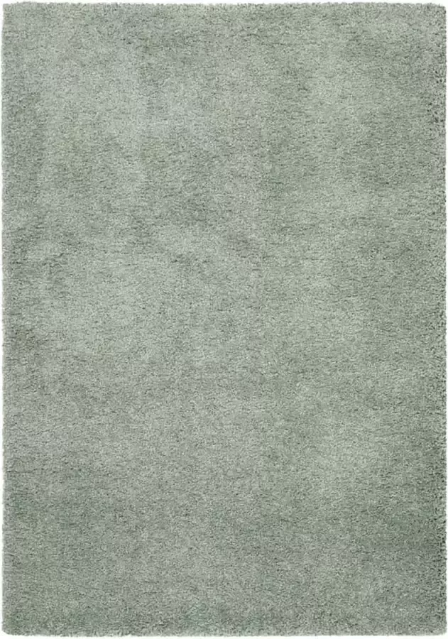 Dutch-lifestyle Vloerkleed New York lichtgroen 160x230cm