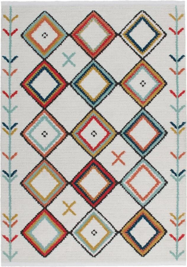 Dutch XXL Berber Vloerkleed Tapijt Agadir Ruiten Multikleur 160x230 cm