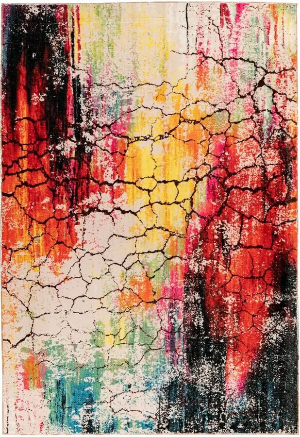 Dutch XXL Bohemian Vloerkleed Tapijt Saphira Multikleur 120x170 cm