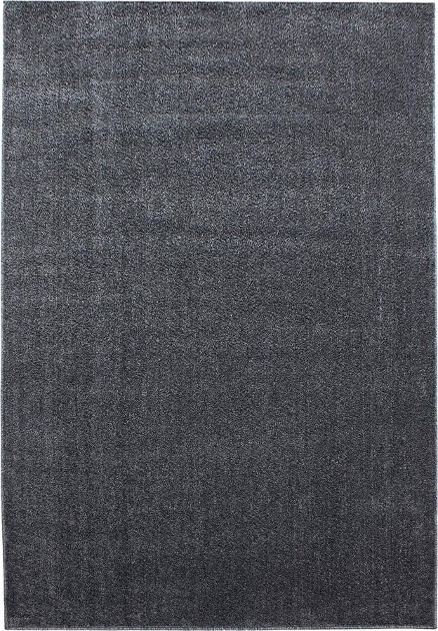 Dutch XXL Ata Laagpolig Vloerkleed Grey Verfijnde Kwaliteit 60x100 cm