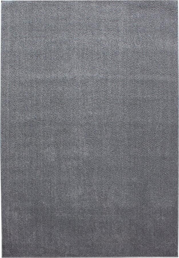 Dutch XXL Ata Laagpolig Vloerkleed Light Grey Verfijnde Kwaliteit 240x340 cm