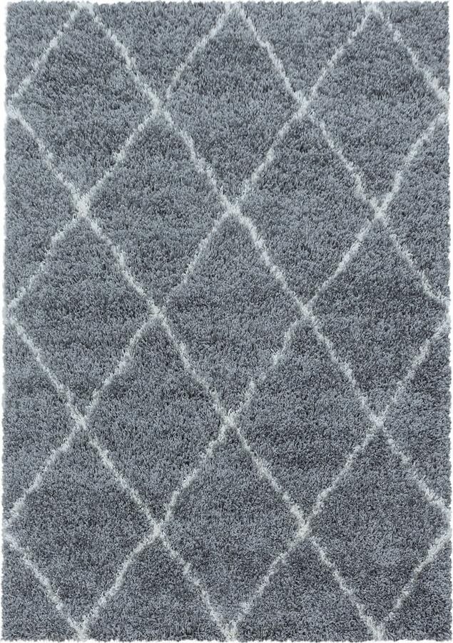 Dutch XXL Shaggy Alvor Hoogpolig Vloerkleed Grey Verfijnde Kwaliteit 160x230 cm
