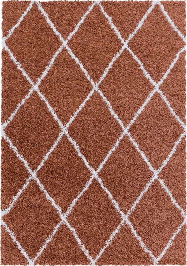 Dutch XXL Shaggy Alvor Hoogpolig Vloerkleed Terra Verfijnde Kwaliteit 120x170 cm