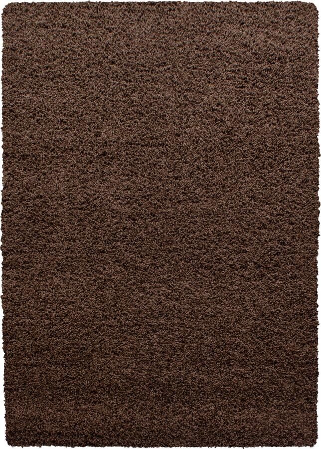 Dutch XXL Hoogpolig Vloerkleed Tapijt Shaggy Dream Bruin 60x110 cm