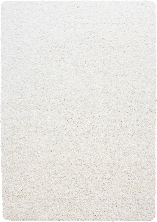 Dutch XXL Hoogpolig Vloerkleed Tapijt Shaggy Dream Crème 65x130 cm