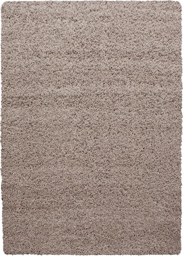 Dutch XXL Shaggy Life Hoogpolig Vloerkleed Beige Verfijnde Kwaliteit 240x340 cm