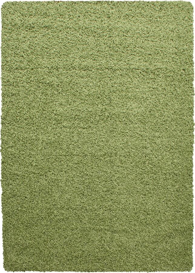 Dutch XXL Shaggy Life Hoogpolig Vloerkleed Green Verfijnde Kwaliteit 100x200 cm