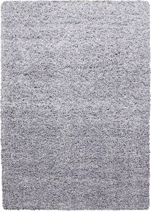 Dutch XXL Shaggy Life Hoogpolig Vloerkleed Light Grey Verfijnde Kwaliteit 100x200 cm