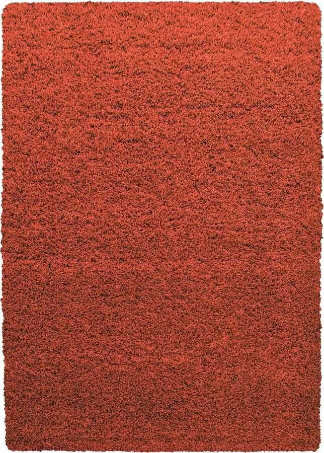 Dutch XXL Shaggy Life Hoogpolig Vloerkleed Terra Verfijnde Kwaliteit 200x290 cm