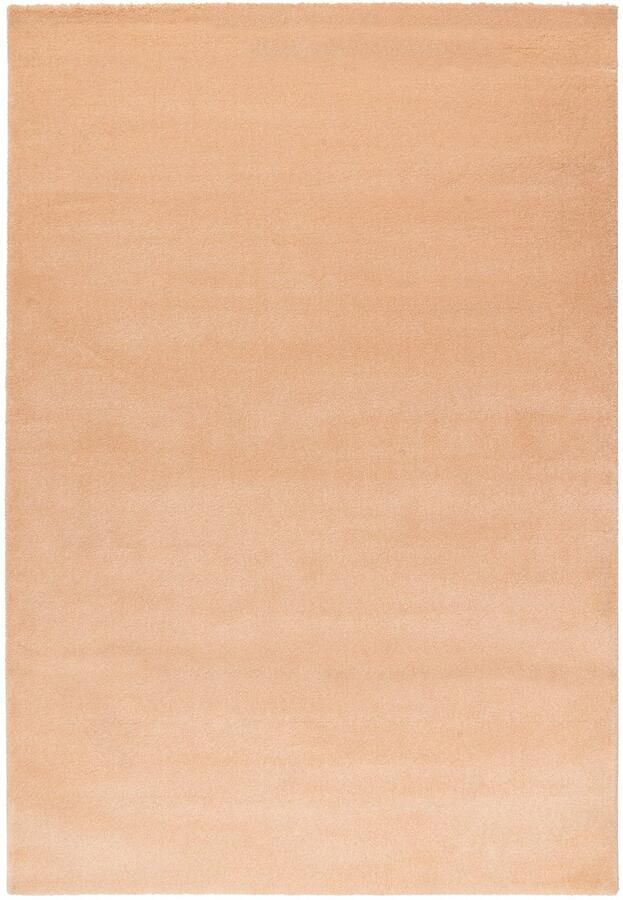 Dutch XXL Hoogpolig Vloerkleed Tapijt Softtouch Peach 120x170 cm