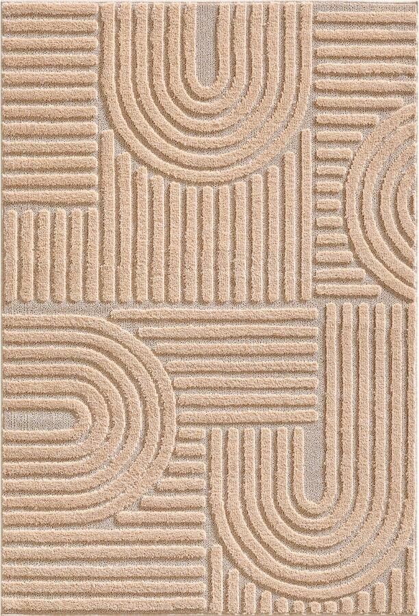 Dutch XXL Art Hoogpolig Vloerkleed Rose Verfijnde Kwaliteit 200x290 cm