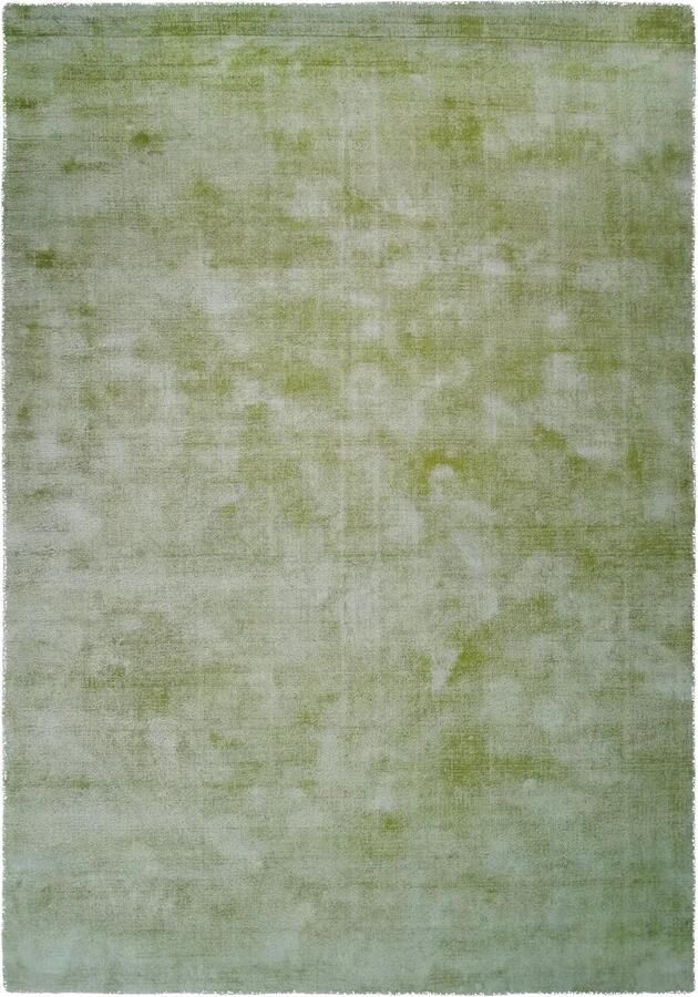 Dutch XXL Laagpolig Vloerkleed Tapijt Luxury Gemêleerd Groen 160x230 cm