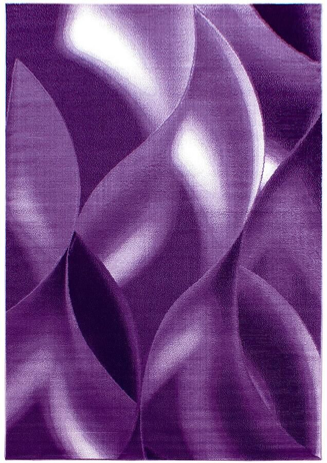 Dutch XXL Plus Laagpolig Vloerkleed Lila Verfijnde Kwaliteit 280x370 cm