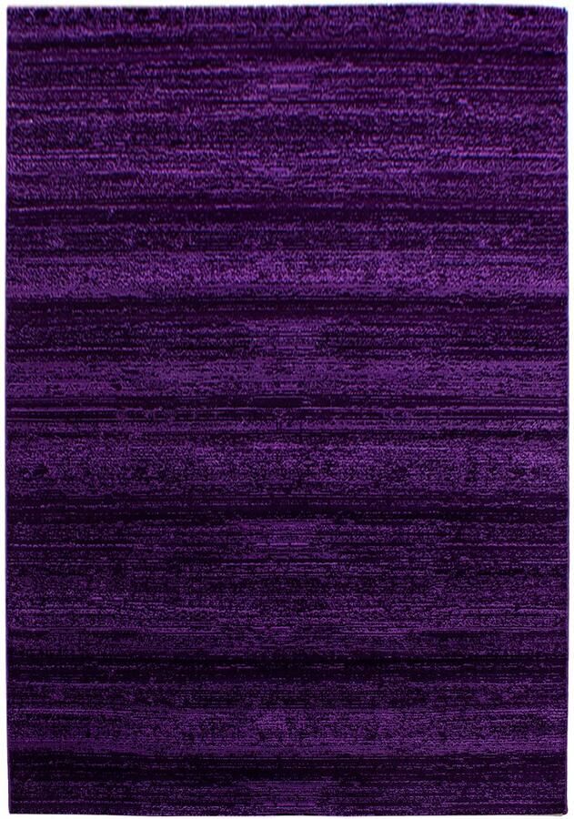 Dutch XXL Plus Laagpolig Vloerkleed Lila Verfijnde Kwaliteit 120x170 cm