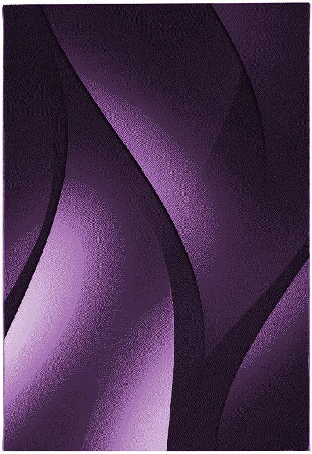 Dutch XXL Plus Laagpolig Vloerkleed Lila Verfijnde Kwaliteit 280x370 cm