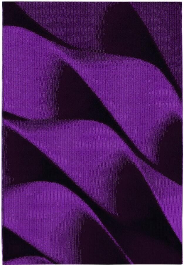 Dutch XXL Modern Vloerkleed Tapijt Parma Abstract Lila 160x230 cm