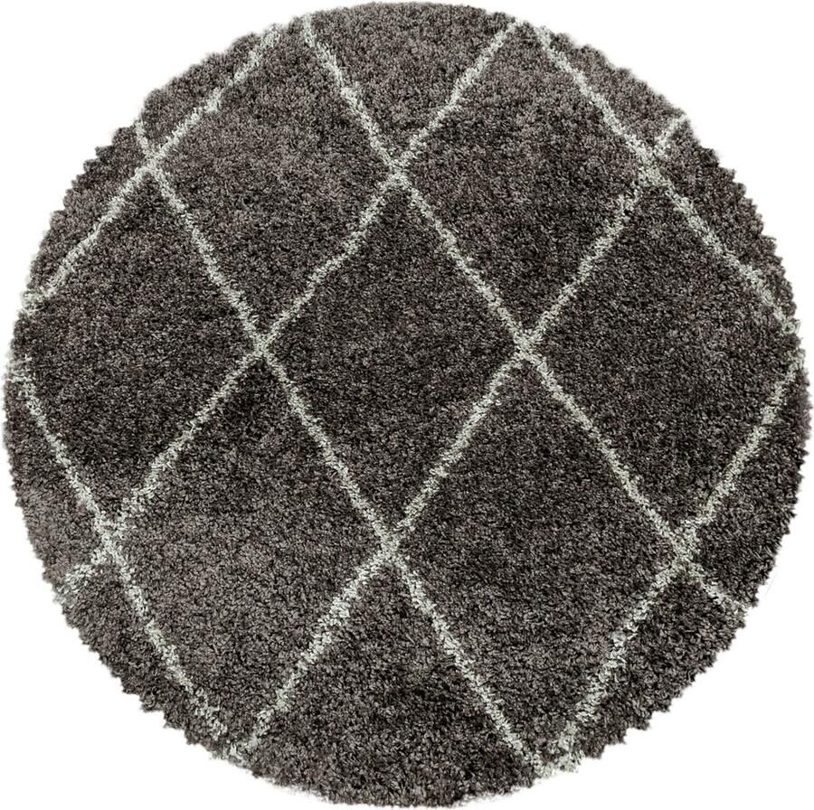 Dutch XXL Rond Hoogpolig Vloerkleed Tapijt Shaggy Alvor Taupe 200x200 cm