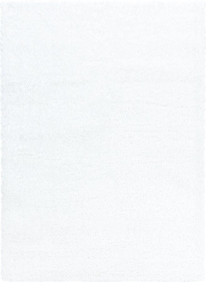 Dutch XXL Shaggy Brilliant Hoogpolig Vloerkleed Snow Verfijnde Kwaliteit 80x250 cm