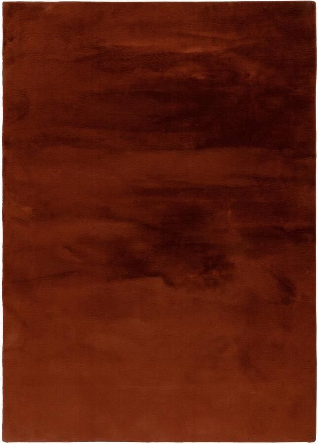 Dutch XXL Zacht Hoogpolig Vloerkleed Tapijt Paradise Terra 120x170 cm