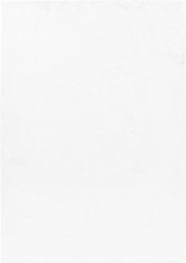 Dutch XXL Pouffy Hoogpolig Vloerkleed White Verfijnde Kwaliteit 240x340 cm