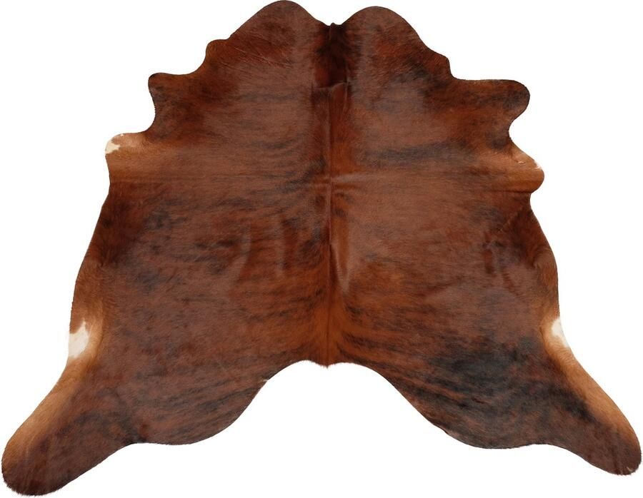 Dutchskins Koeienhuid vloerkleed Cognac Bruin Koeienkleed Cognac Bruin mooie dikke kwaliteit handgeselecteerde koeienvellen Ecologisch gelooid Uniek gefotografeerde koeienhuiden - Foto 9