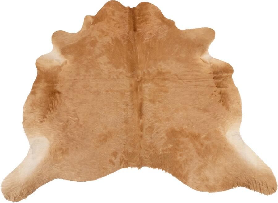 Dutchskins Koeienhuid vloerkleed Cognac Koeienkleed Cognac mooie dikke kwaliteit handgeselecteerde koeienvellen Ecologisch gelooid Uniek gefotografeerde koeienhuiden - Foto 4