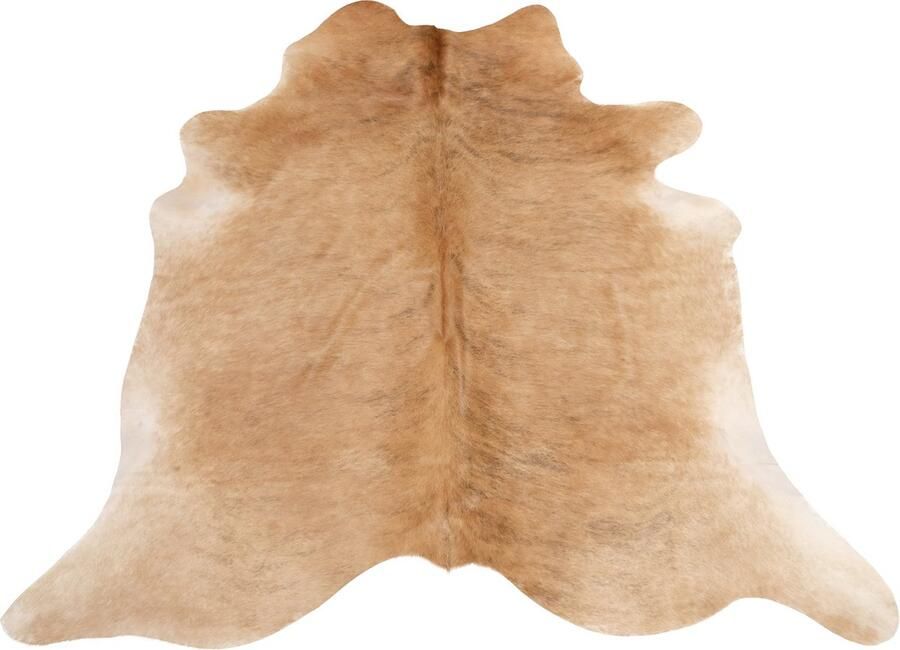 Dutchskins Koeienhuid vloerkleed Licht bruin dikke kwaliteit koeienkleed Ecologisch gelooide koeienvellen Uniek gefotografeerde koeienhuiden