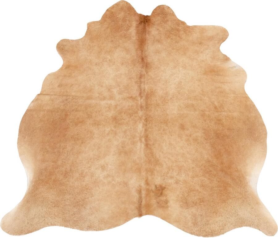 Dutchskins Koeienhuid vloerkleed Roodbruin Bruin Koeienkleed Roodbruin Bruin mooie dikke kwaliteit handgeselecteerde koeienvellen Ecologisch gelooid Uniek gefotografeerde koeienhuiden - Foto 2