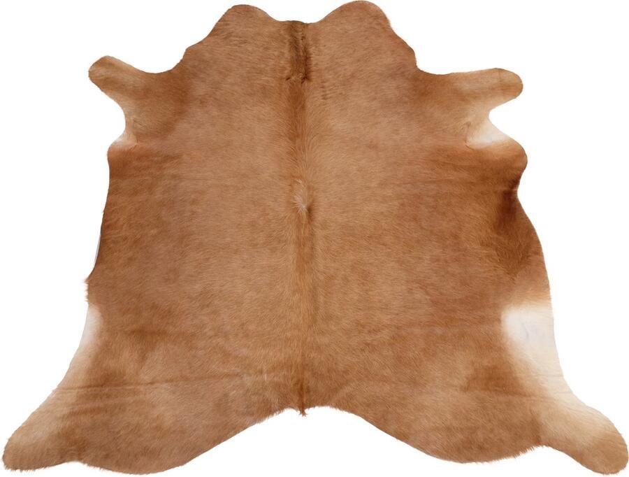 Dutchskins Koeienhuid vloerkleed Licht cognac Koeienkleed Licht cognac mooie dikke kwaliteit handgeselecteerde koeienvellen Ecologisch gelooid Uniek gefotografeerde koeienhuiden - Foto 3