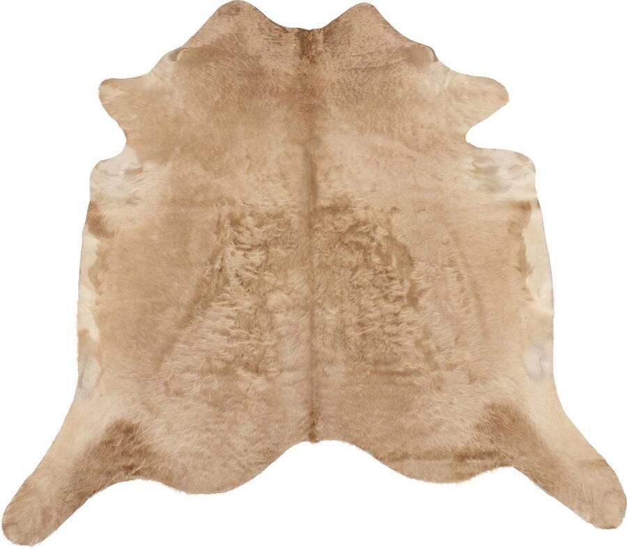Dutchskins Koeienhuid vloerkleed Taupe Koeienkleed Taupe mooie dikke kwaliteit handgeselecteerde koeienvellen Ecologisch gelooid Uniek gefotografeerde koeienhuiden