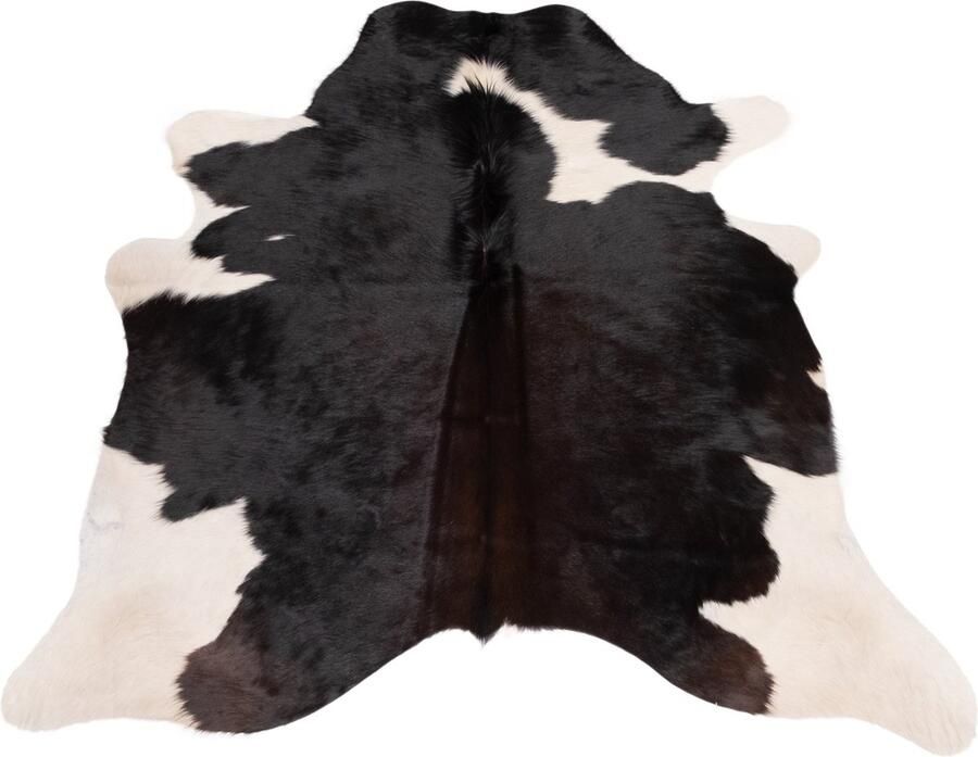 Dutchskins Koeienhuid vloerkleed Bruin wit Koeienkleed Bruin wit mooie dikke kwaliteit handgeselecteerde koeienvellen Ecologisch gelooid Uniek gefotografeerde koeienhuiden - Foto 5