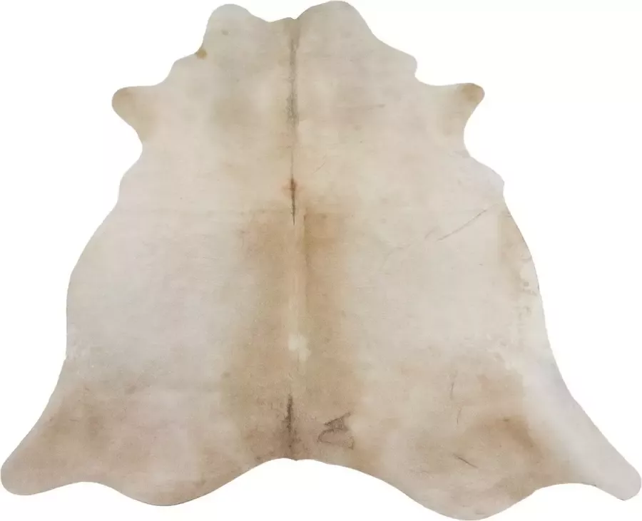 Dutchskins Koeienhuid vloerkleed Creme Koeienkleed Creme mooie dikke kwaliteit handgeselecteerde koeienvellen Ecologisch gelooid Uniek gefotografeerde koeienhuiden - Foto 5