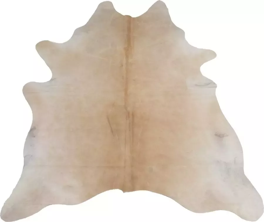 Dutchskins Koeienhuid vloerkleed Creme Koeienkleed Creme mooie dikke kwaliteit handgeselecteerde koeienvellen Ecologisch gelooid Uniek gefotografeerde koeienhuiden - Foto 2