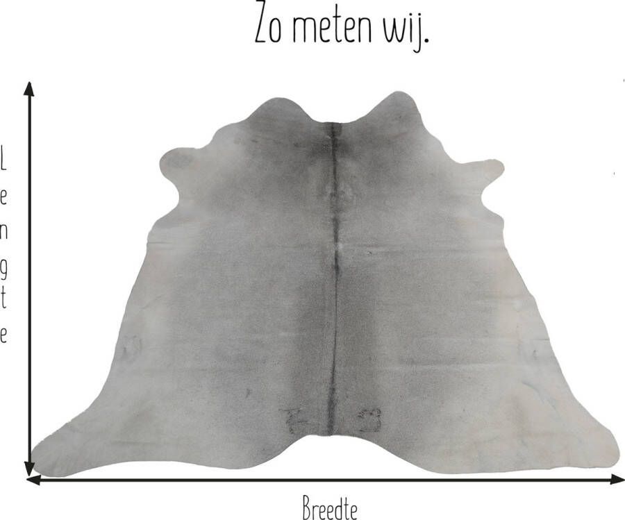 Dutchskins Koeienhuid vloerkleed Beige; Creme wit Koeienkleed Beige; Creme wit mooie dikke kwaliteit handgeselecteerde koeienvellen Ecologisch gelooid Uniek gefotografeerde koeienhuiden - Foto 3