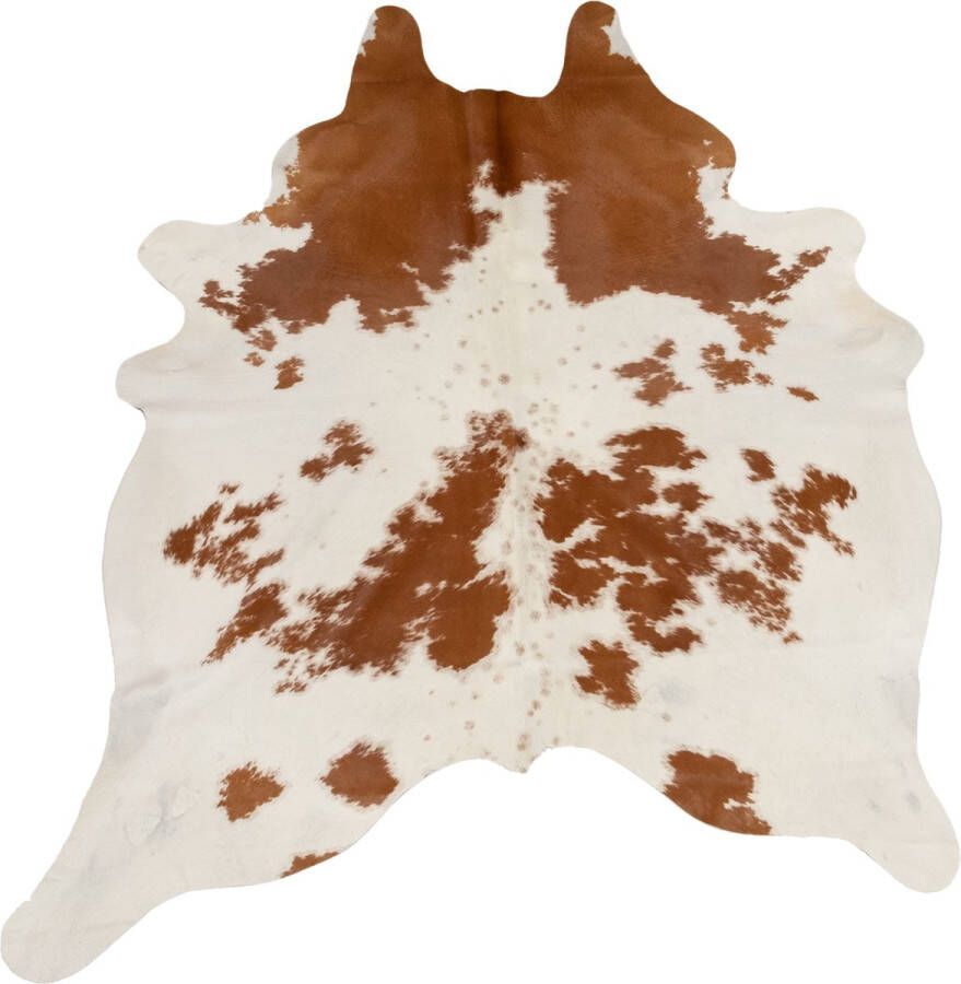 Dutchskins Koeienhuid vloerkleed Bruin wit dikke kwaliteit koeienkleed Ecologisch gelooide koeienvellen Uniek gefotografeerde koeienhuiden