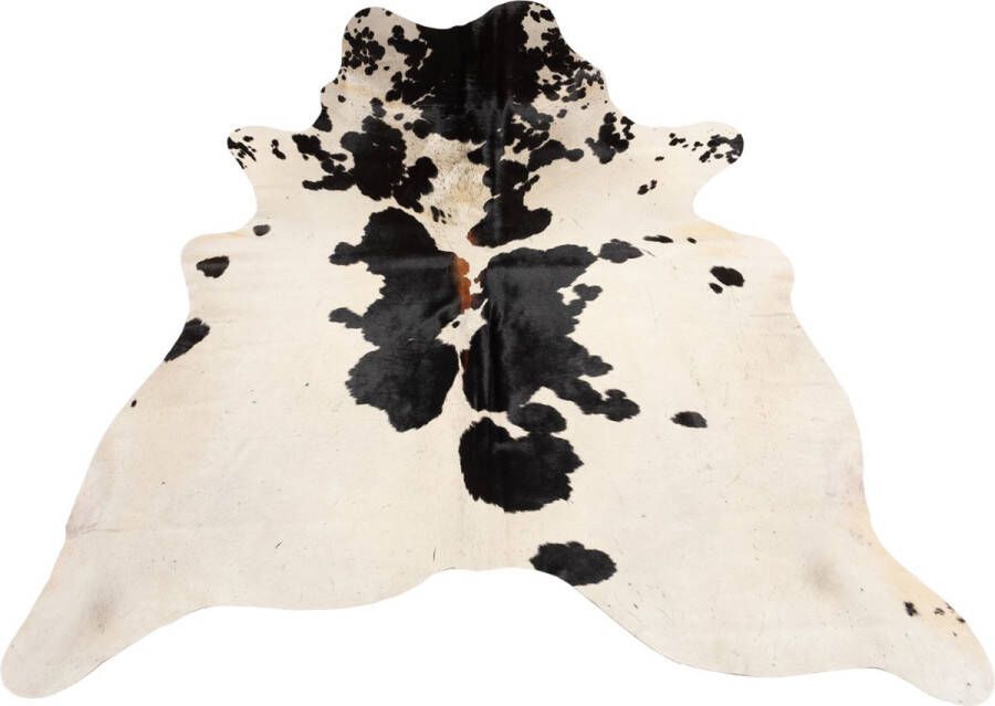 Dutchskins Koeienhuid vloerkleed Creme; Bruin wit dikke kwaliteit koeienkleed Ecologisch gelooide koeienvellen Uniek gefotografeerde koeienhuiden