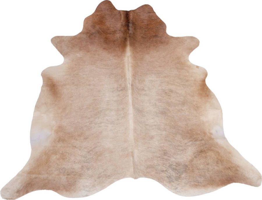 Dutchskins Koeienhuid vloerkleed Glanzend bruin Koeienkleed Glanzend bruin mooie dikke kwaliteit handgeselecteerde koeienvellen Ecologisch gelooid Uniek gefotografeerde koeienhuiden - Foto 4