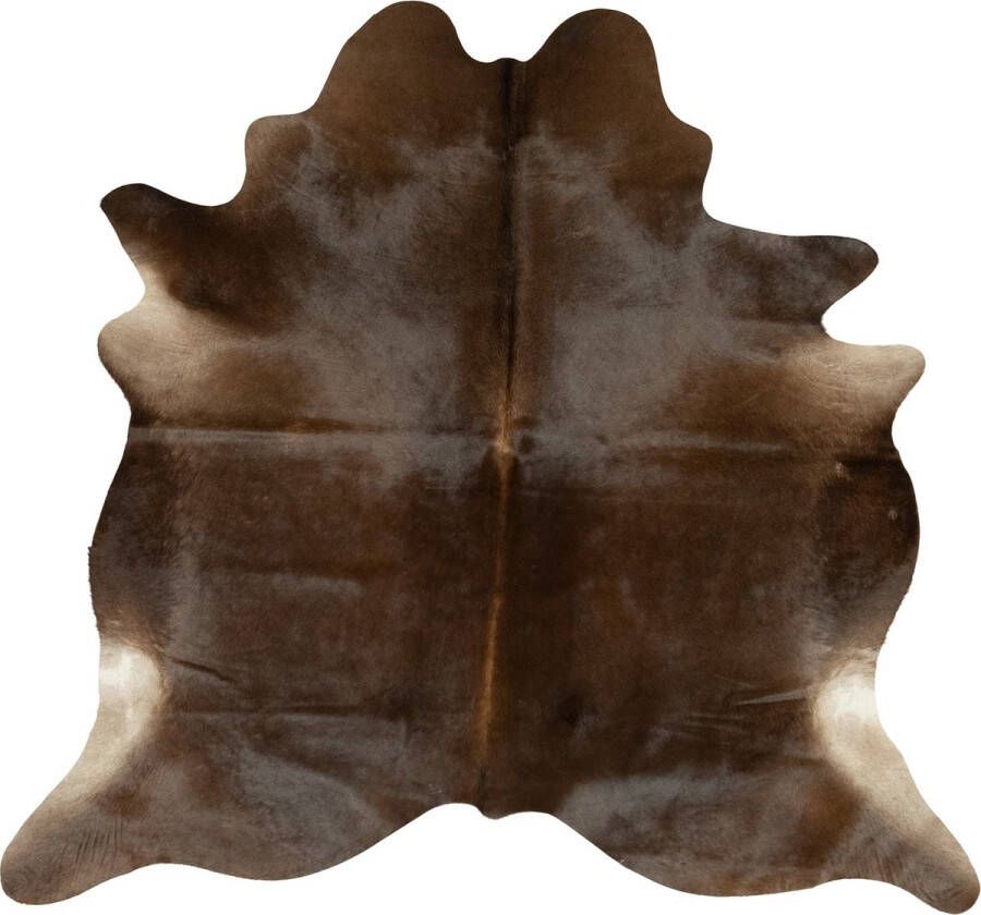 Dutchskins Koeienhuid vloerkleed Glanzend bruin Koeienkleed Glanzend bruin mooie dikke kwaliteit handgeselecteerde koeienvellen Ecologisch gelooid Uniek gefotografeerde koeienhuiden - Foto 2