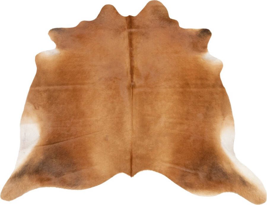 Dutchskins Koeienhuid vloerkleed Goudbruin Koeienkleed Goudbruin mooie dikke kwaliteit handgeselecteerde koeienvellen Ecologisch gelooid Uniek gefotografeerde koeienhuiden - Foto 2