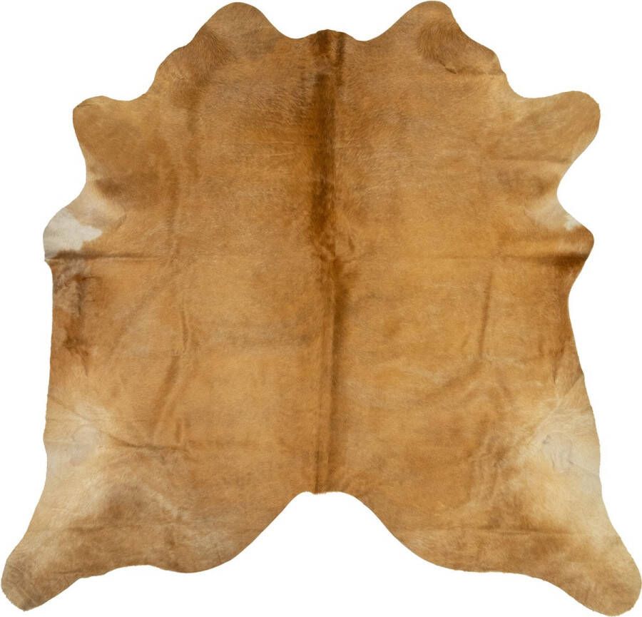 Dutchskins Koeienhuid vloerkleed Goudbruin Licht bruin Cognac Licht cognac Koeienkleed Goudbruin Licht bruin Cognac Licht cognac mooie dikke kwaliteit handgeselecteerde koeienvellen Ecologisch gelooid Uniek gefotografeerde koeienhuiden