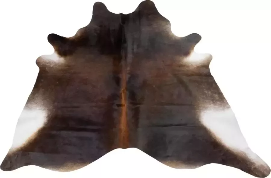 Dutchskins Koeienhuid vloerkleed Zwart Koeienkleed Zwart mooie dikke kwaliteit handgeselecteerde koeienvellen Ecologisch gelooid Uniek gefotografeerde koeienhuiden - Foto 3
