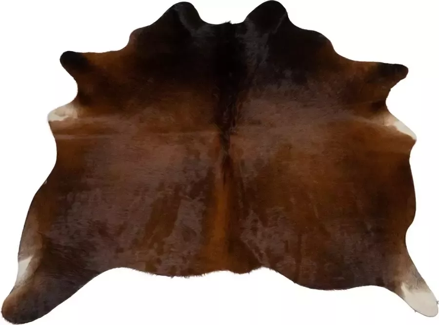 Dutchskins Koeienhuid vloerkleed Donker bruin Chocolade bruin dikke kwaliteit koeienkleed Ecologisch gelooide koeienvellen Uniek gefotografeerde koeienhuiden - Foto 2