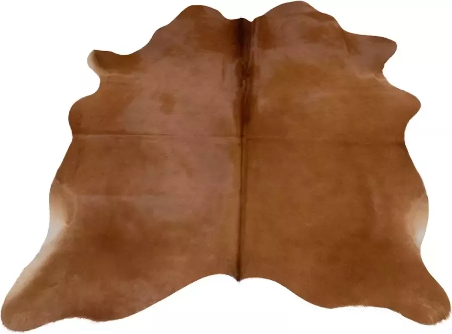 Dutchskins Koeienhuid vloerkleed Bruin Koeienkleed Bruin mooie dikke kwaliteit handgeselecteerde koeienvellen Ecologisch gelooid Uniek gefotografeerde koeienhuiden - Foto 3