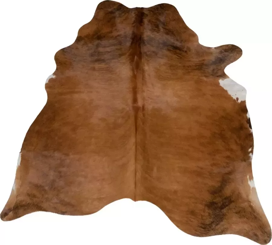 Dutchskins Koeienhuid vloerkleed cognac bruin Koeienkleed cognac bruin mooie dikke kwaliteit handgeselecteerde koeienvellen Ecologisch gelooid Uniek gefotografeerde koeienhuiden - Foto 4